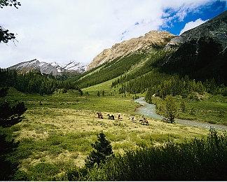 《荒野大镖客2》主角倾情演唱如龙神曲《像笨蛋一样》