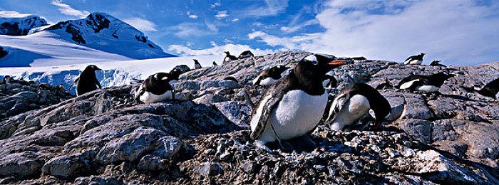 琪露诺弹幕大冒险 《东方冰之勇者记》试玩版免费开放
