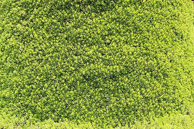 神奇力量大变身！《符文工厂 3 豪华版》将于 2023 年春季登陆NS